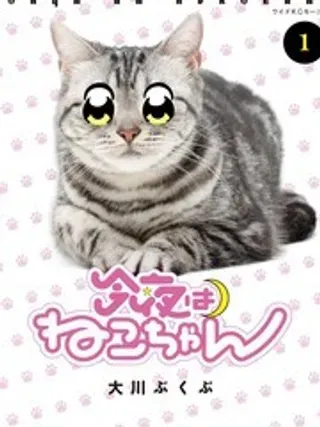 【漫画更新】: 4-今夜是猫咪酱已更新 – 免费阅读